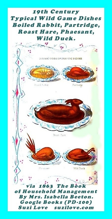 food_ 19th Century Typical Wild Game Dishes. Boiled rabbit, Partridge, Roast Hare, Pheasant, Wild Duck. via 1863 The Book of Household Management By Mrs. Isabella Beeton. Google Books (PD-100)